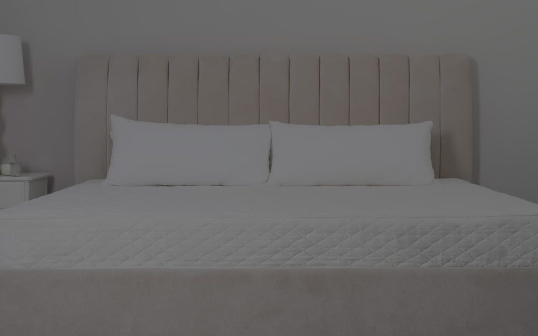 Mattress Store Jacksonville Fl Why 904 Mattress Bg